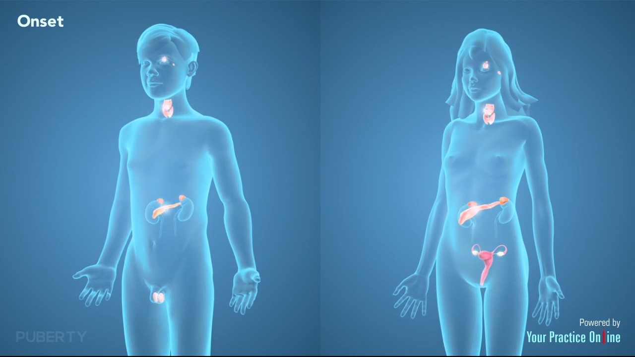 Puberty, General Surgery Procedures