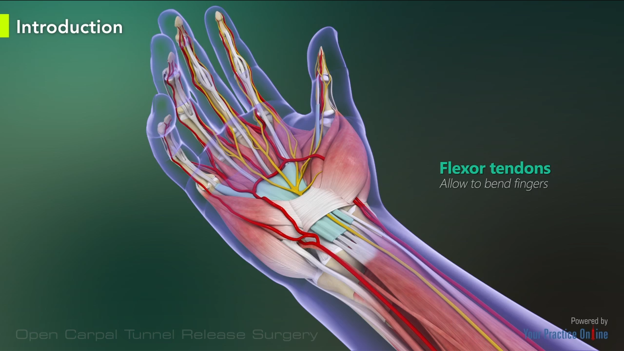Open Carpal Tunnel Release Surgery Hand & Wrist Orthopaedics Videos