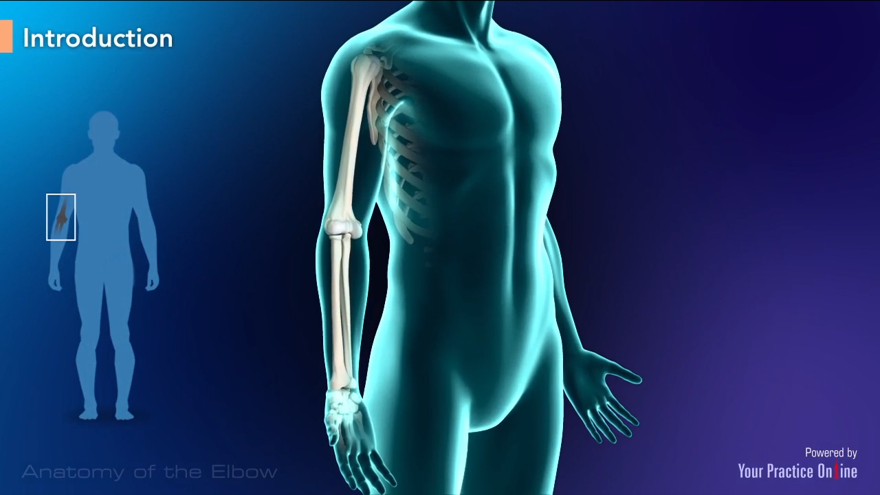 Elbow Anatomy Video | Medical Video Library Elbow Anatomy Video | Medical Video Library