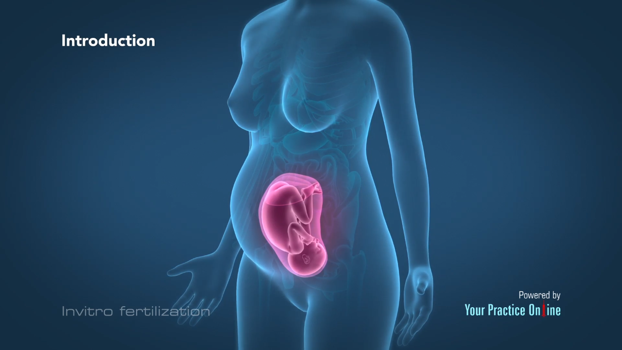 Invitro fertilization Video | Medical Video Library