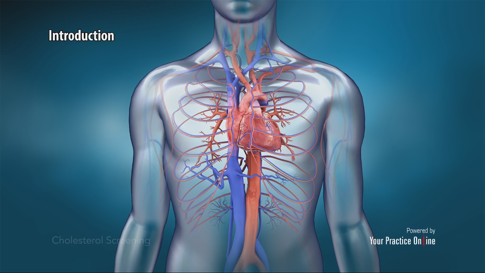 Cholesterol Screening | Cholesterol Level in Blood | Cholesterol Testing Video