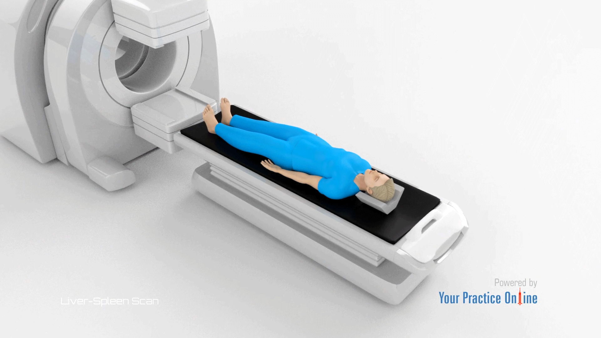 LiverSpleen Scan Video Medical Video Library