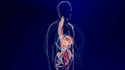 Celiac Plexus Block
